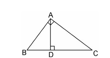 Ncert solutions class 10 chapter 6-24